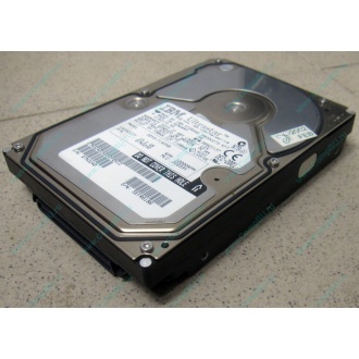 Жесткий диск 18.2Gb IBM Ultrastar DDYS-T18350 Ultra3 SCSI (Шахты)