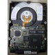 Жесткий диск 18.2Gb IBM Ultrastar DDYS-T18350 Ultra3 SCSI (Шахты)